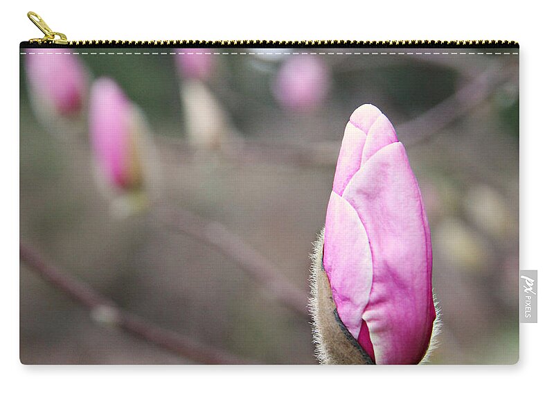 Plant Zip Pouch featuring the photograph Magnolia Buds by KATIE Vigil