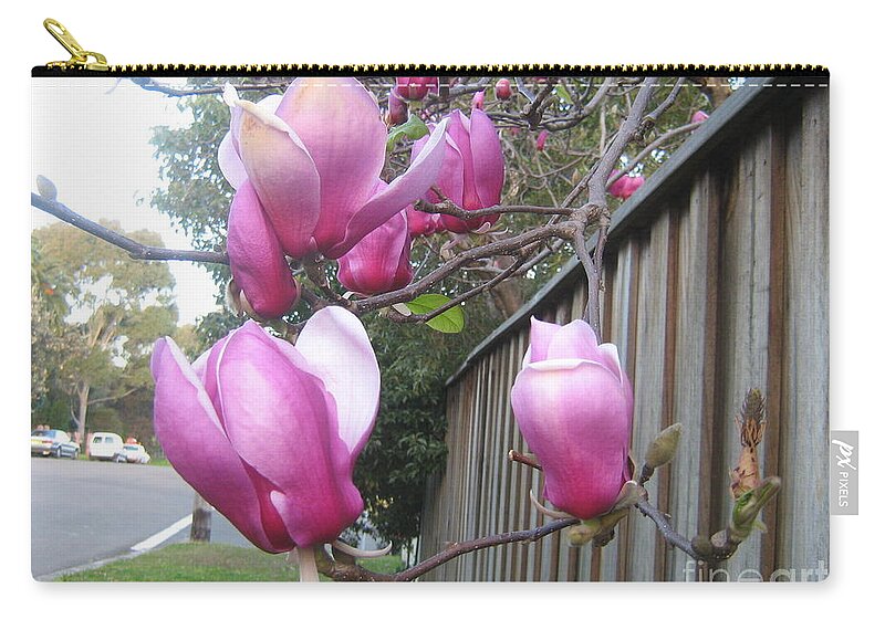 Magnolias Zip Pouch featuring the photograph Magnolias in bloom by Leanne Seymour