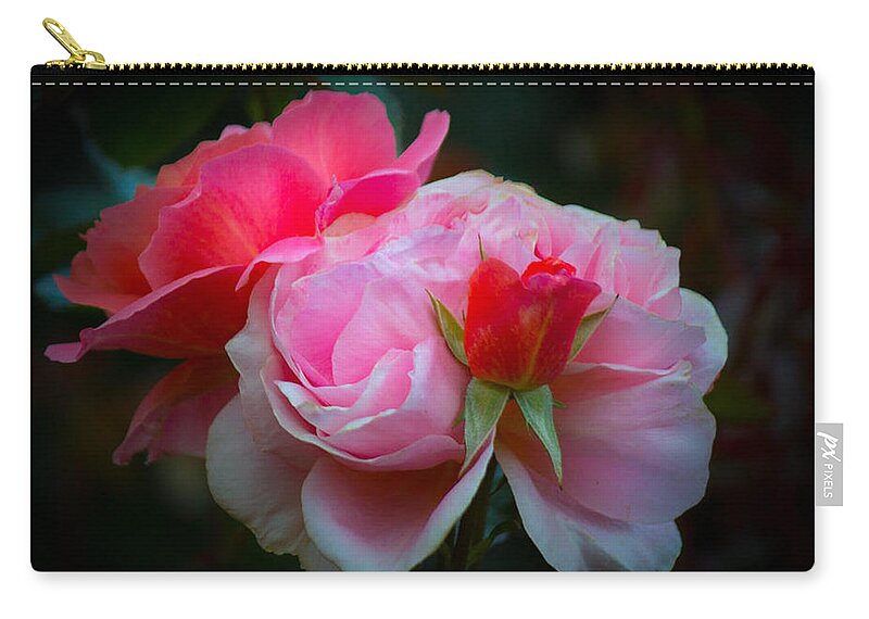 Pink Zip Pouch featuring the photograph Maiden Mother Crone by Patricia Babbitt