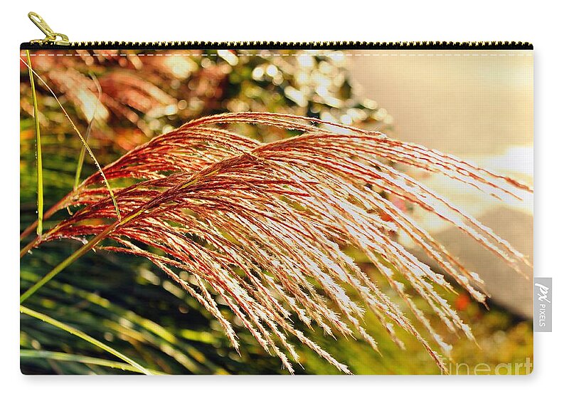 Maiden Seagrass Zip Pouch featuring the photograph Maiden Seagrass Flower Head by Judy Palkimas