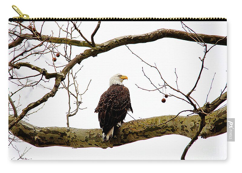 Eagle Zip Pouch featuring the photograph The Majestic by Trina Ansel