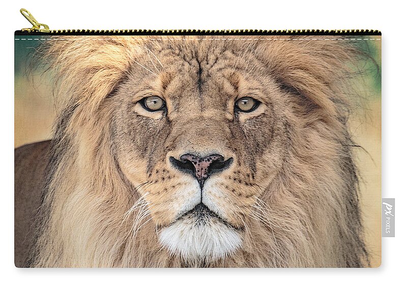 Lion Zip Pouch featuring the photograph Majestic King by Everet Regal