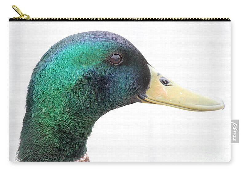 Duck Zip Pouch featuring the photograph Majestic Mallard by Jennifer E Doll