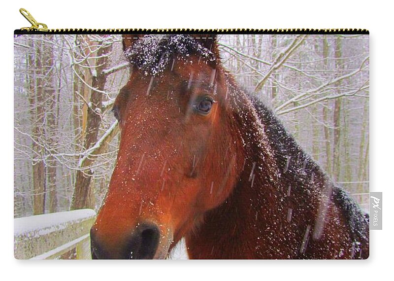 Morgan Horse Zip Pouch featuring the photograph Majestic Morgan Horse by Elizabeth Dow