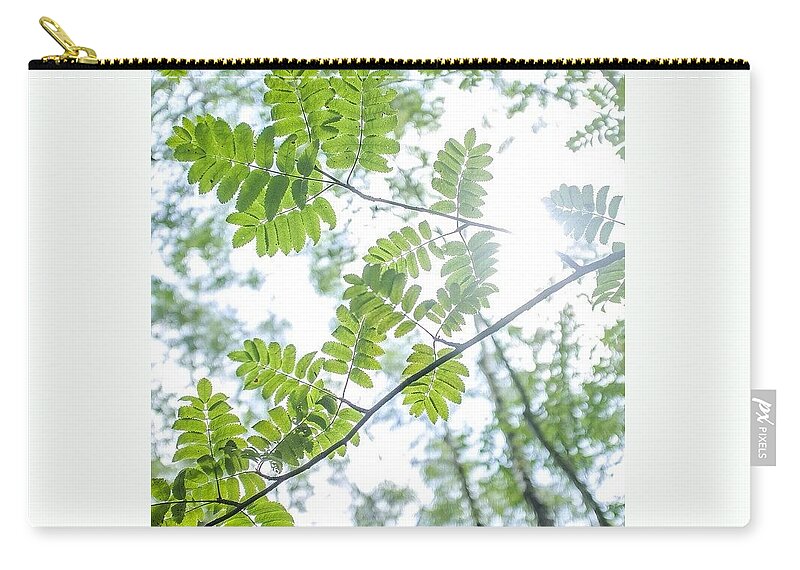  Zip Pouch featuring the photograph Make Like A Tree And Leave by Aleck Cartwright