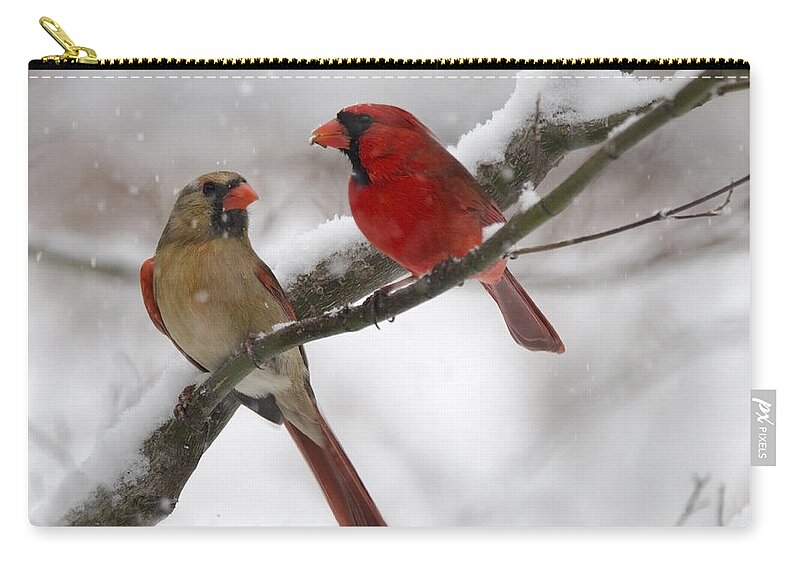 Birds Carry-all Pouch featuring the photograph Male and Female Cardinal by Ann Bridges
