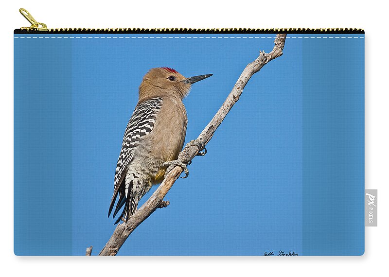 Animal Zip Pouch featuring the photograph Male Gila Woodpecker by Jeff Goulden
