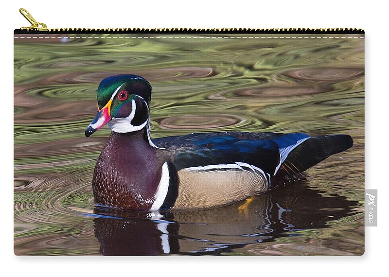 Wood Duck Zip Pouch featuring the photograph Male Wood Duck by Randy Hall
