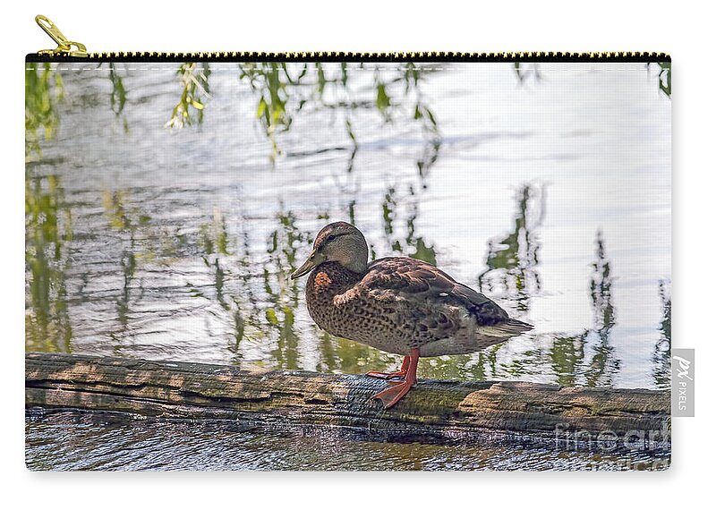 Mallard Duck Zip Pouch featuring the photograph Mallard Under the Willow by Sharon Talson