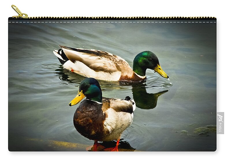 Avian Carry-all Pouch featuring the photograph Mallards on Mendota by Christi Kraft