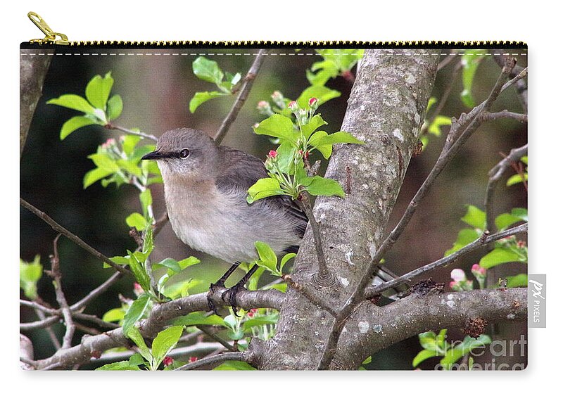Mockingbird Zip Pouch featuring the photograph Mama's Gonna Buy You a Mockingbird by Benanne Stiens