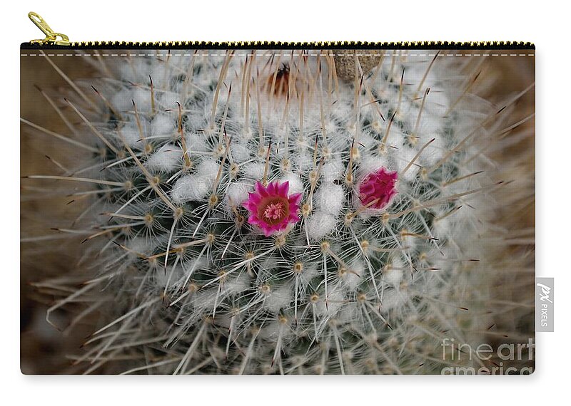 Growth Zip Pouch featuring the photograph Mammillaria Geminispina by Scott Lyons