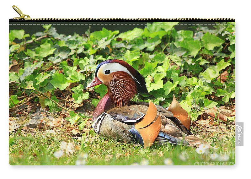 Animal Carry-all Pouch featuring the photograph Mandarin Duck in the grass by Amanda Mohler