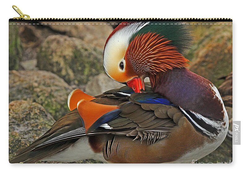 Bird Zip Pouch featuring the photograph Mandarin Duck by Larry Nieland