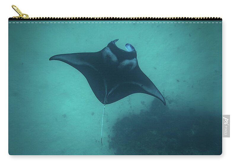 Photography Zip Pouch featuring the photograph Manta Ray Swimming In The Pacific by Panoramic Images