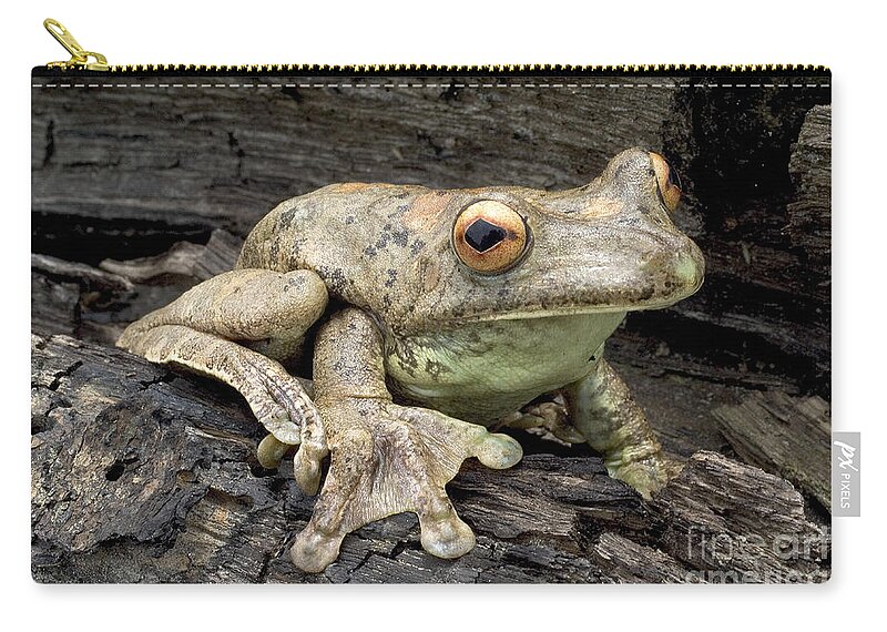Map Treefrog Zip Pouch featuring the photograph Map Treefrog by Natures Images