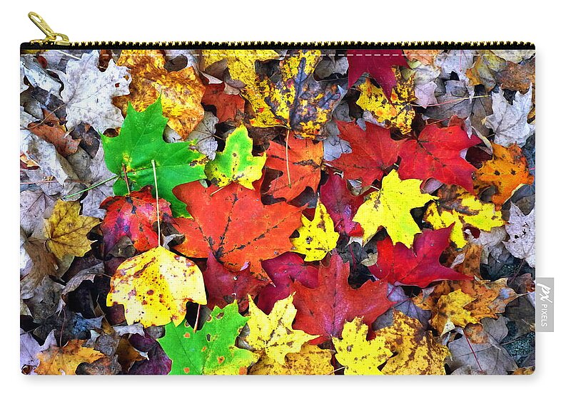 Maple Zip Pouch featuring the photograph Maple Carpet by Jackie Carpenter