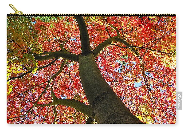 Photography Zip Pouch featuring the photograph Maple in Autumn Glory by Sean Griffin