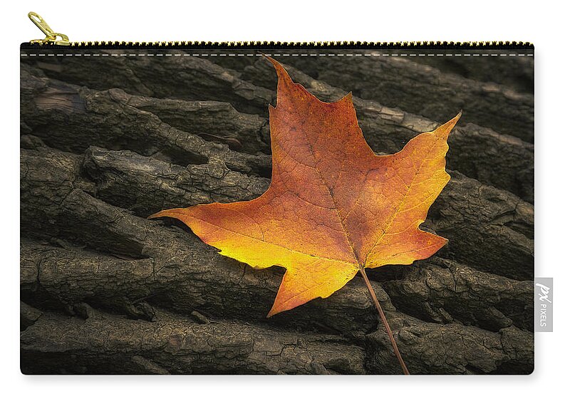 Maple Zip Pouch featuring the photograph Maple Leaf by Scott Norris