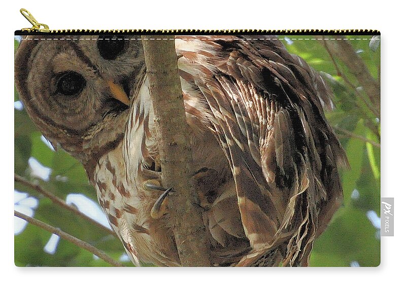 Hoot Owl Zip Pouch featuring the photograph Marcus' backyard Hooter by AnnaJo Vahle