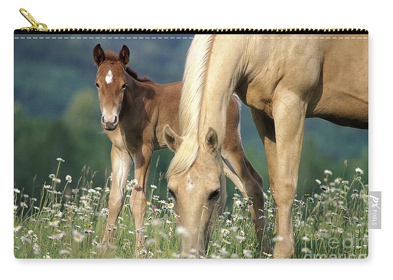 Horse Zip Pouch featuring the photograph Mare And Foal In Meadow by Rolf Kopfle