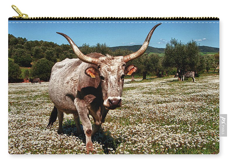 Working Animal Zip Pouch featuring the photograph Margherita by Riccardo Vallini Pics