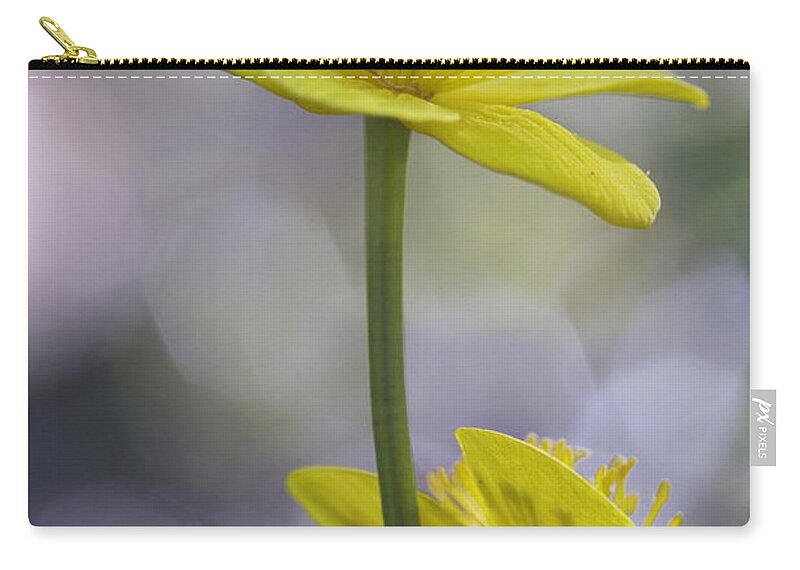 Beautiful Zip Pouch featuring the photograph Marsh marigold - available for licensing by Ulrich Kunst And Bettina Scheidulin