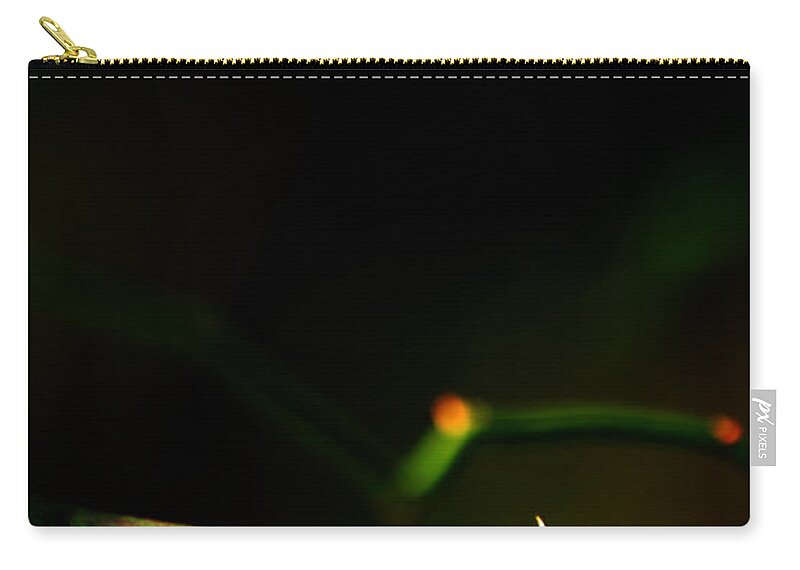 Thorn Zip Pouch featuring the photograph Matchstick by Rebecca Sherman