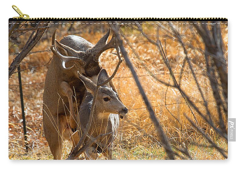 Mating Deer Zip Pouch featuring the photograph Mating Mulies by Jim Garrison