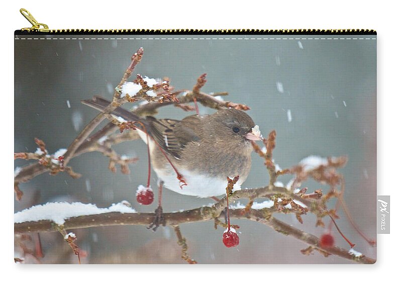 Bird Zip Pouch featuring the photograph Maybe a Cherry or Maybe Not by Kristin Hatt