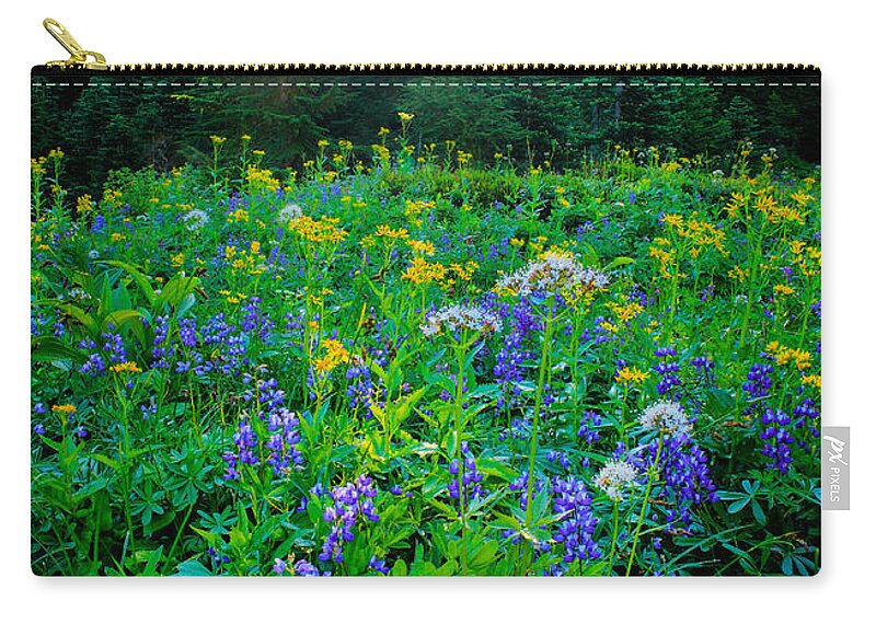 America Zip Pouch featuring the photograph Meadow Sunburst by Inge Johnsson