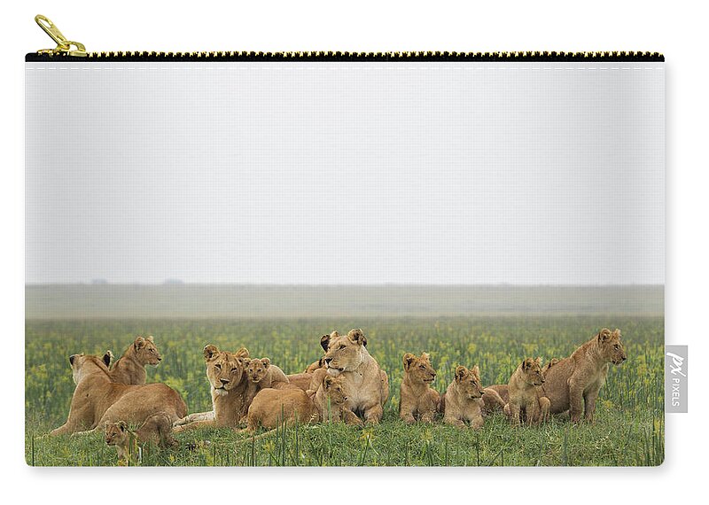Kenya Zip Pouch featuring the photograph Meet The Family.....the Marsh Pride Of by Robert Muckley