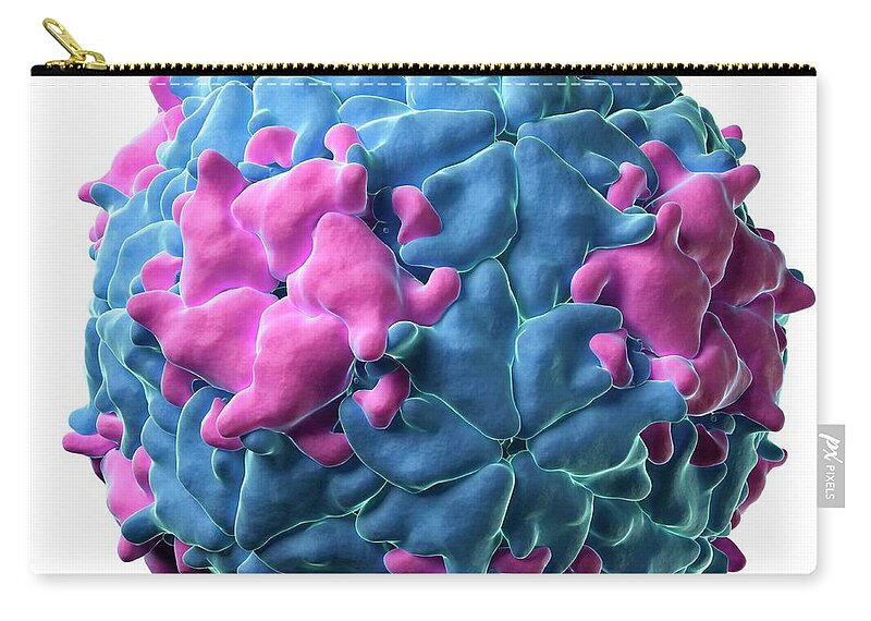 Pathogen Zip Pouch featuring the digital art Mengo Encephalomyocarditis Virus by Sciepro