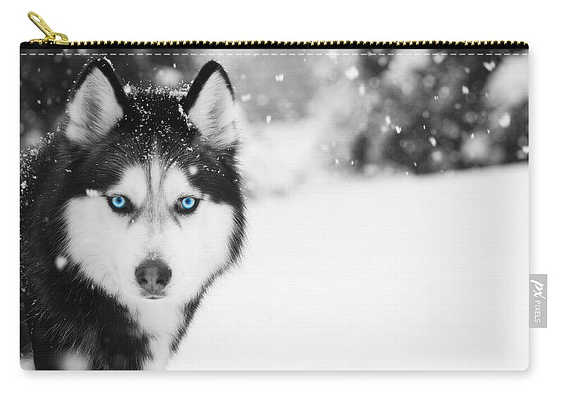 Husky Carry-all Pouch featuring the photograph Mesmerizing by Nunweiler Photography