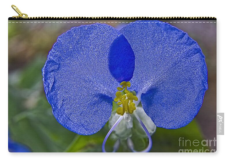 Mickey Mouse Flower Zip Pouch featuring the photograph Mickey Mouse Flower by Gary Holmes