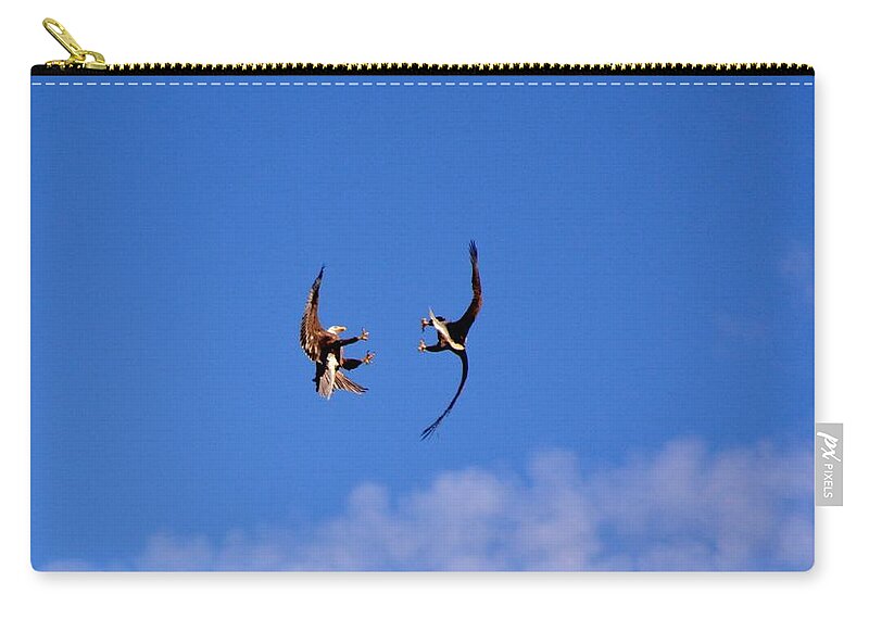 Eagle Zip Pouch featuring the photograph Mid Air Mating Dance by Tamara Michael