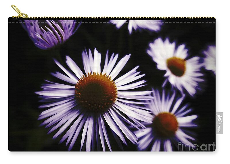 Midnight Daisy Zip Pouch featuring the photograph Midnight Daisy by Kasia Bitner