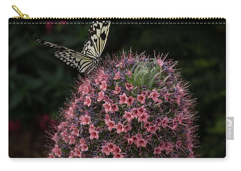 Flower Zip Pouch featuring the photograph Millions of Tiny Flowers Plus a Butterfly by Georgia Mizuleva