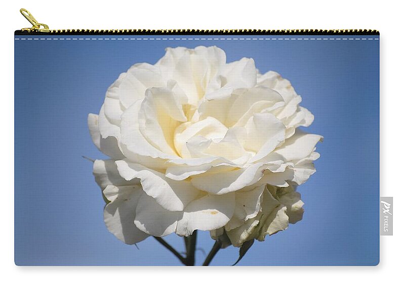 White Rose Zip Pouch featuring the photograph Minnie's Rose by Susan Stevens Crosby