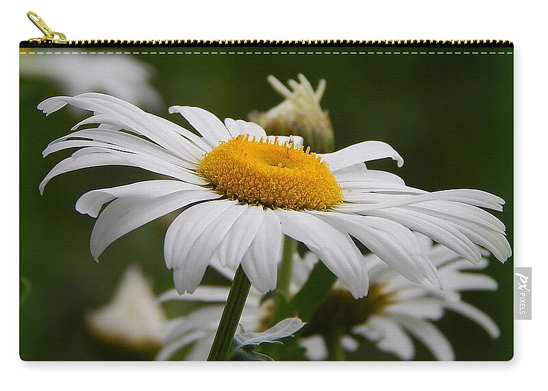 Daisy Zip Pouch featuring the photograph Miss Daisy by Kimberly Woyak