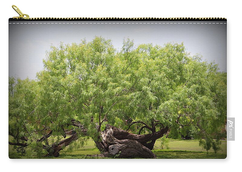 Mission Espada Zip Pouch featuring the photograph Mission Espada - Tree by Beth Vincent
