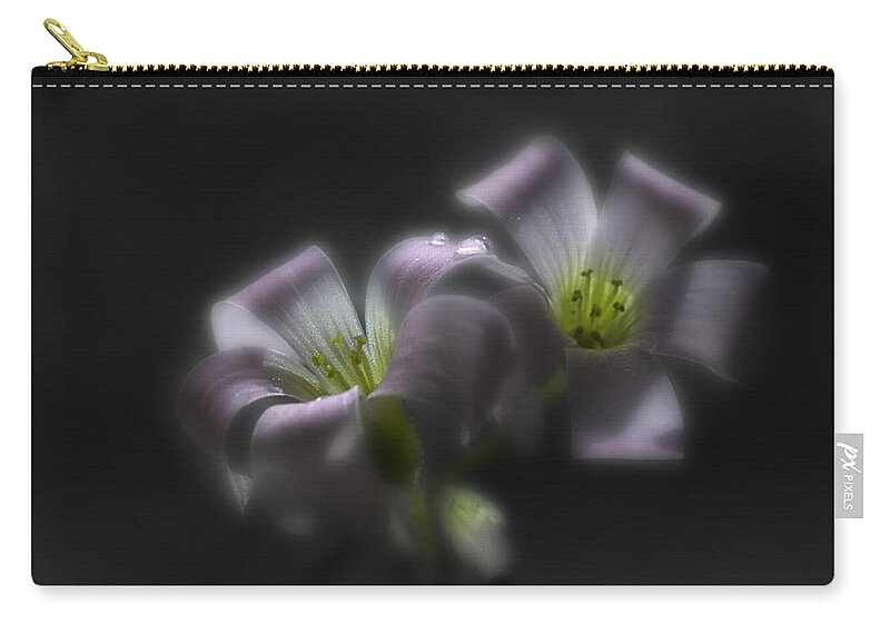 Shamrock Zip Pouch featuring the photograph Misty Shamrock 2 by Sue Capuano