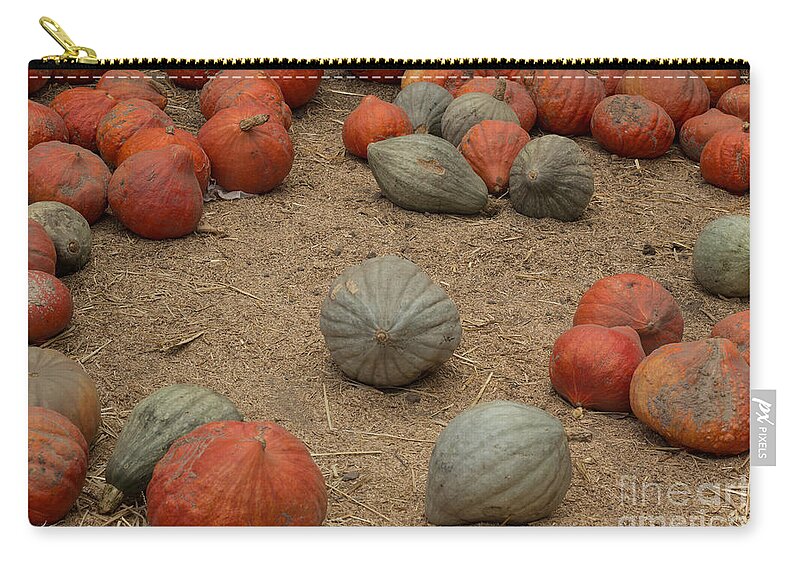 Pumpkins Zip Pouch featuring the photograph Mixed Pumpkins by Suzanne Luft