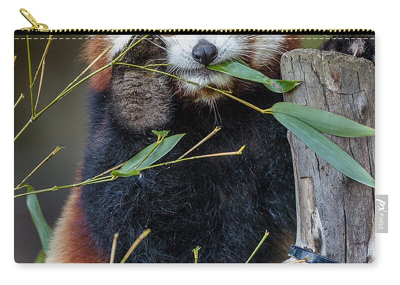 Mohu Zip Pouch featuring the photograph Mohu's Farewell by Greg Nyquist