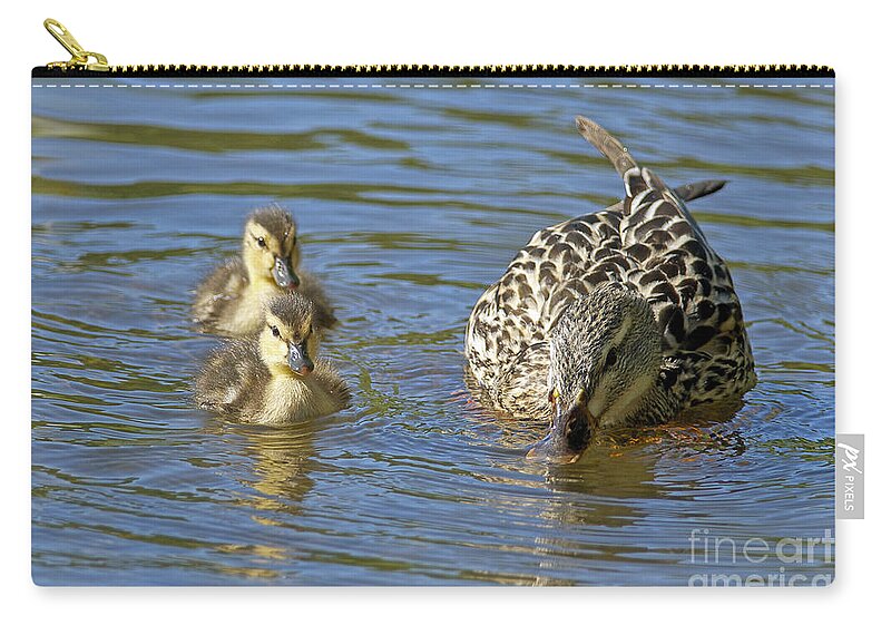 Mallard Zip Pouch featuring the photograph Momma Mallard and her Ducklings by Sharon Talson