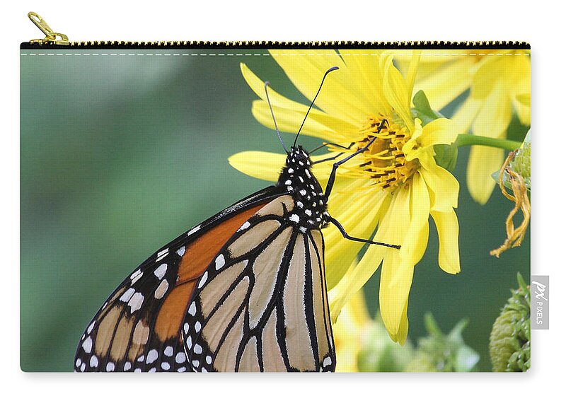 Monarch Zip Pouch featuring the photograph Monarch beauty by Doris Potter