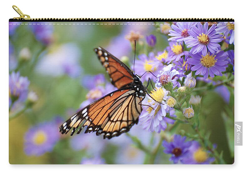 Monarch Butterfly Zip Pouch featuring the photograph Monarch butterfly 3 by Tracy Winter
