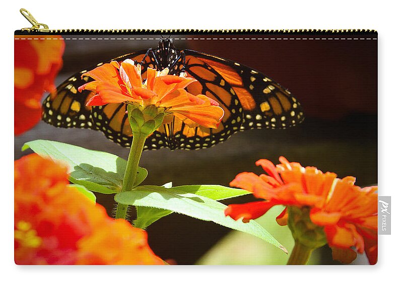 Monarch Butterfly Zip Pouch featuring the photograph Monarch Butterfly II by Patrice Zinck