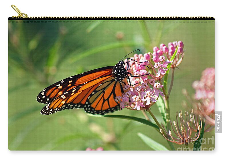 Monarch Zip Pouch featuring the photograph Monarch Butterfly on Milkweed by Karen Adams