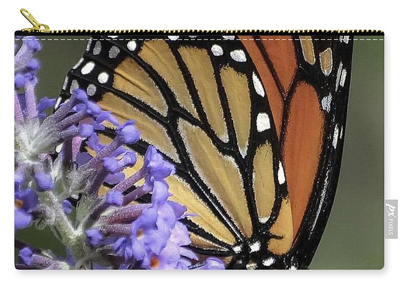 Monarch On Butterfly Bush~limited Addition 2 Of 10- Monarch Print- Bright Colors- Purple Flowers- Orange Butterfly- Black And White Colors- Greens- Zip Pouch featuring the photograph Monarch on Butterfly Bush-edition 3 of 40 by Rae Ann M Garrett